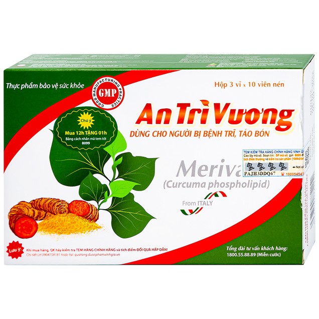 An Trĩ Vương 1