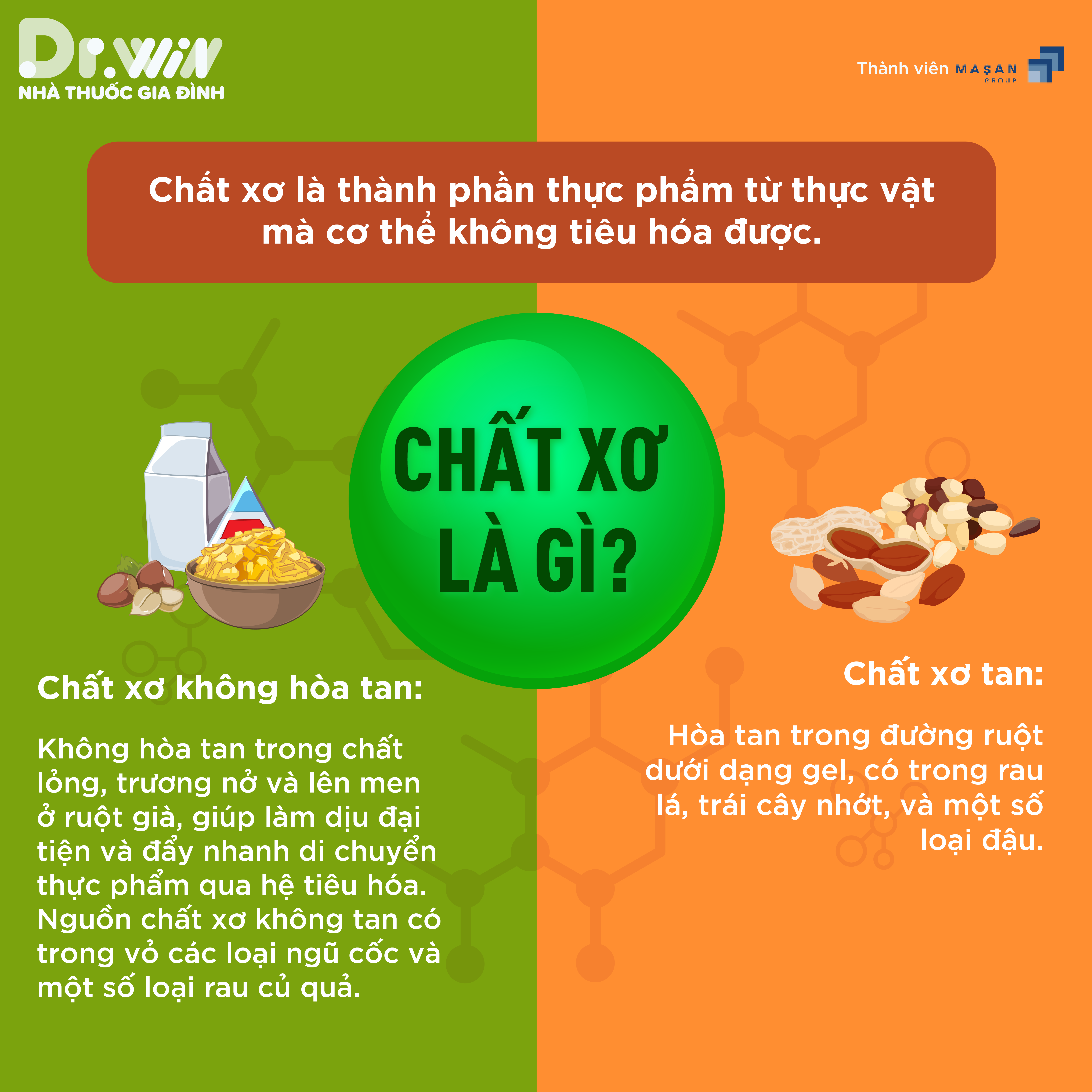 VAI TRÒ QUAN TRỌNG CỦA CHẤT XƠ TRONG DINH DƯỠNG 1