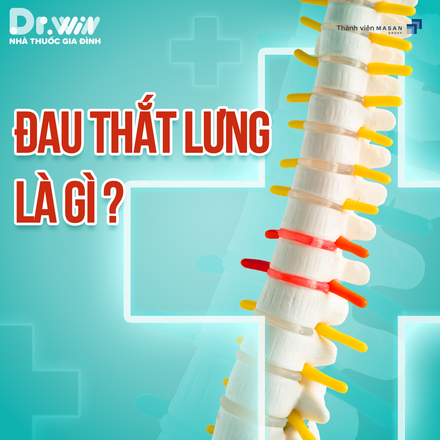 ĐAU THẮT LƯNG 1