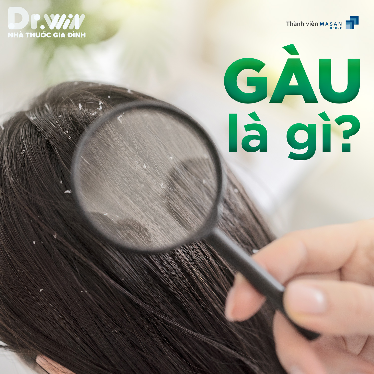 GÀU VÀ NHỮNG ĐIỀU CẦN BIẾT 1
