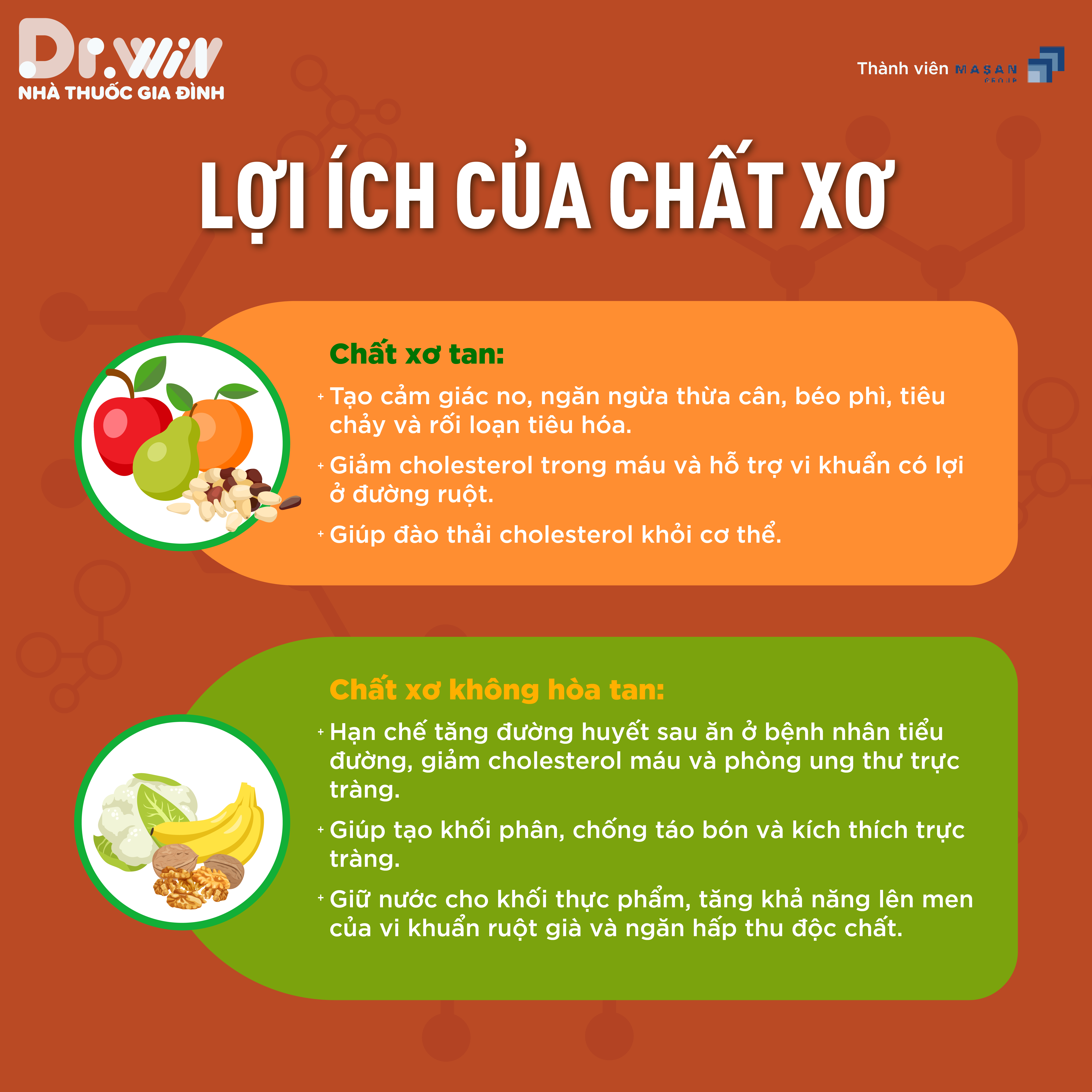VAI TRÒ QUAN TRỌNG CỦA CHẤT XƠ TRONG DINH DƯỠNG 2