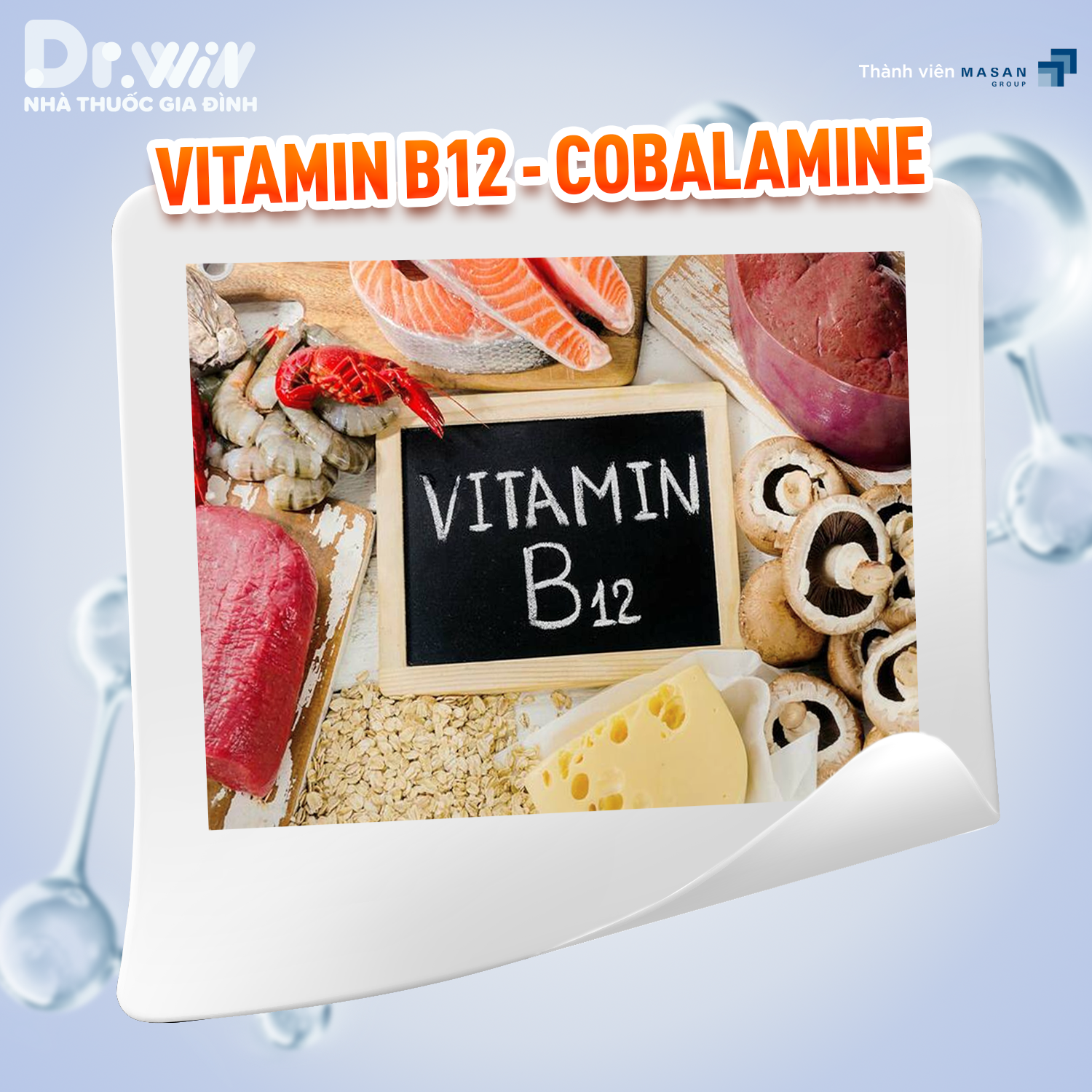 13 LOẠI VITAMIN THIẾT YẾU CHO CƠ THỂ 14